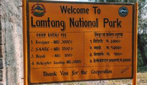 Tourist Activity Picks Up in Langtang as Transport Access Improves