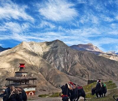 Dolpo, Nepal: A Remote Gem for Trekking and Tourism