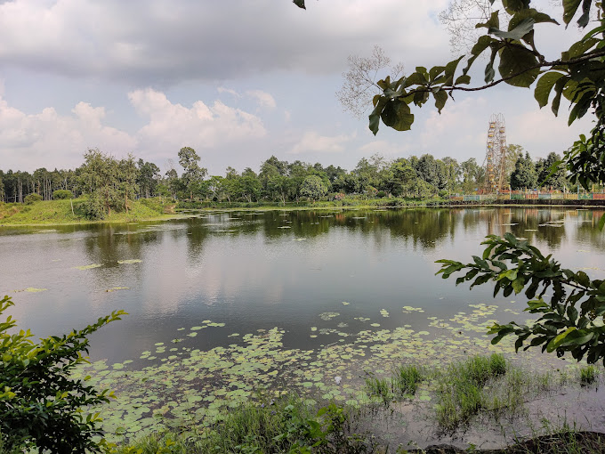 Jamunkhadi Wetland Area Emerging as a Popular Tourist Destination in Jhapa