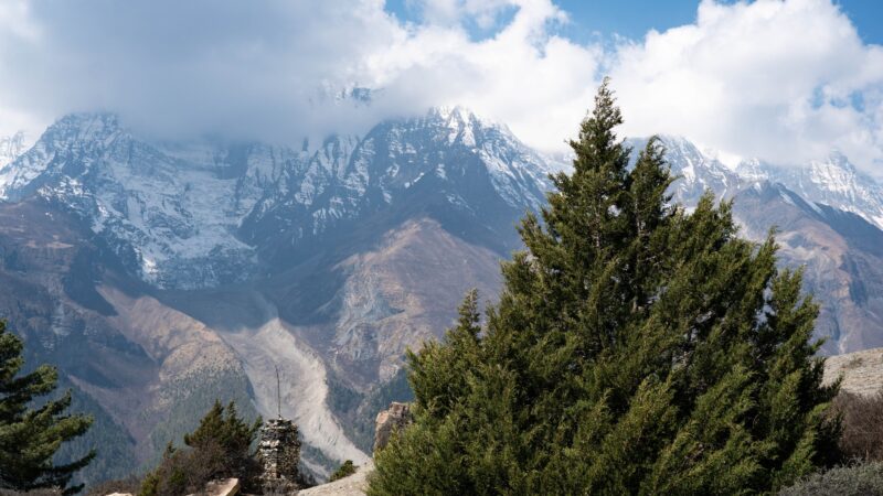 Sacred Smoke of Sang: A Spiritual Tradition and Conservation Challenge in Manang