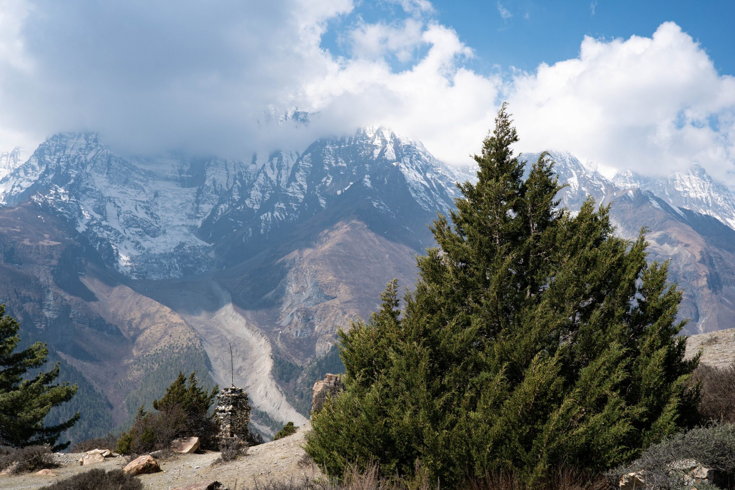 Sacred Smoke of Sang: A Spiritual Tradition and Conservation Challenge in Manang
