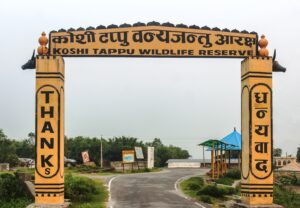 Koshi Tappu Wildlife Reserve Draws 9,242 Visitors, Domestic Tourists Dominate Footfall