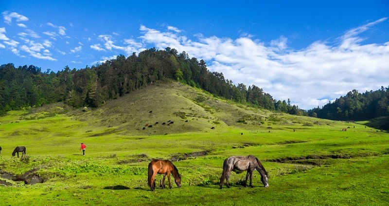 Lawmakers Urge Government To Develop Far-West As A Religious Tourism Hub