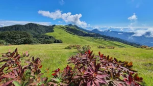 Hospitality Management Training Launched in Mundum Trail Region to Strengthen Tourism Services