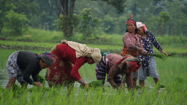 Nepal Harnesses the Synergy of Agriculture and Tourism for Growth