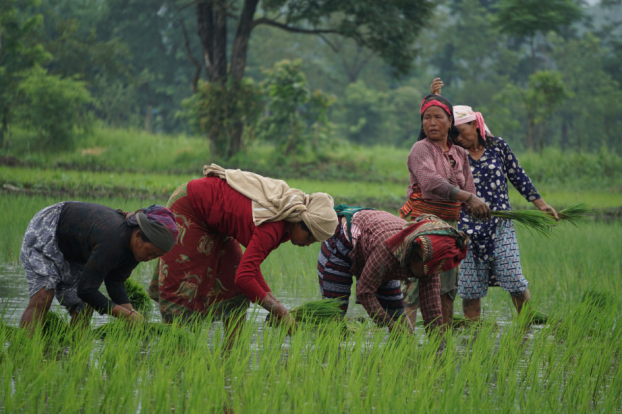 Nepal Harnesses the Synergy of Agriculture and Tourism for Growth