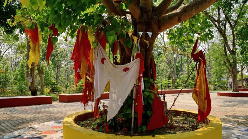 Behdaba Temple Hosts Grand Celebration of Ganga Dashahara Mela in Dhangadhi