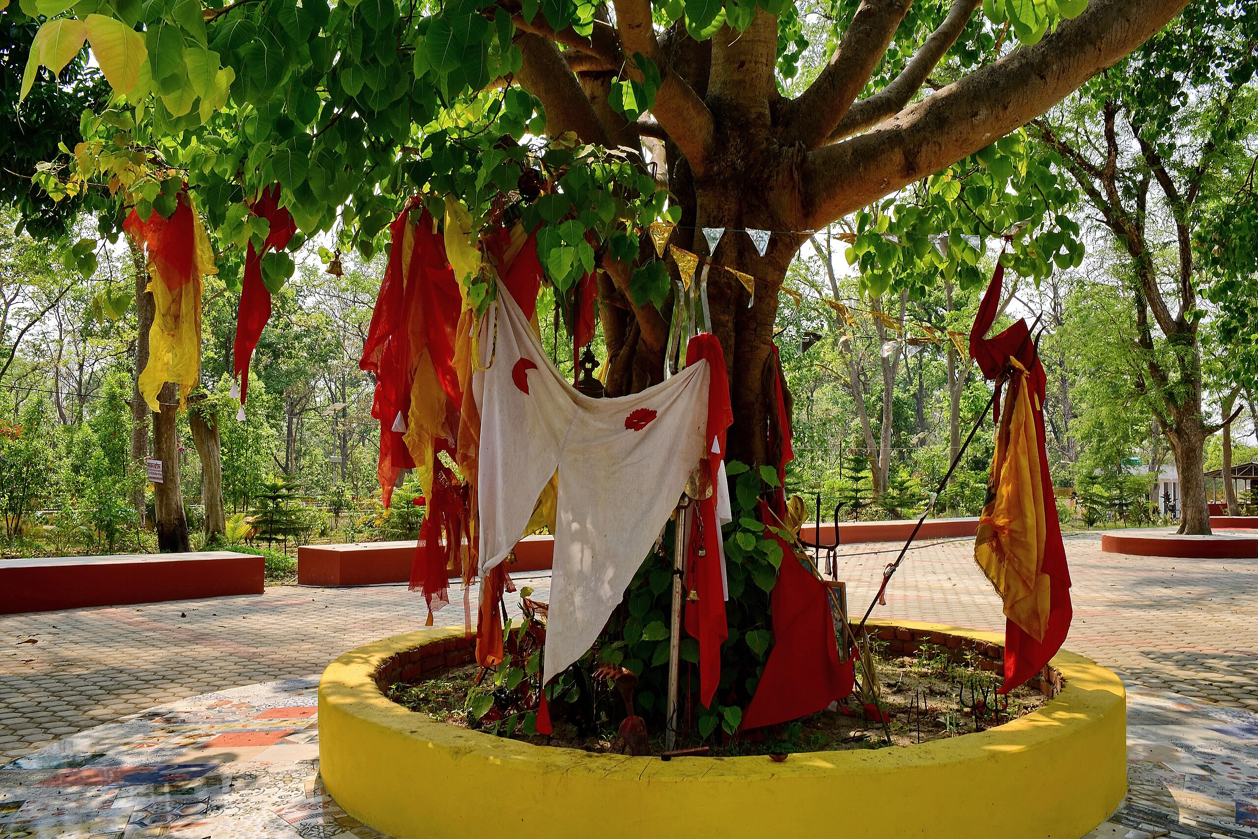 Behdaba Temple Hosts Grand Celebration of Ganga Dashahara Mela in Dhangadhi