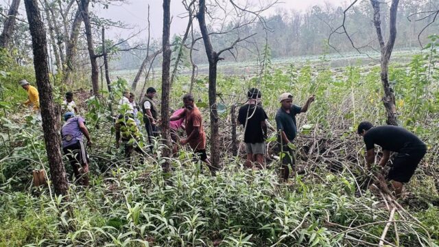 Ghodaghodi Fights Back: Invasive Besharam Weed Removal Launched to Save Ramsar Wetland