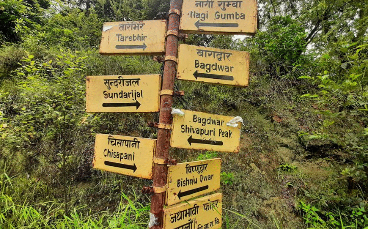 Where to Go Today: Discover the Serenity of Shivapuri Nagarjun National Park Through Hiking