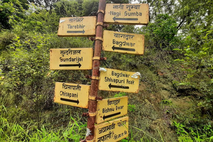 Where to Go Today: Discover the Serenity of Shivapuri Nagarjun National Park Through Hiking