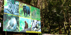 Shivapuri-Nagarjun National Park Begins E-Ticketing Trial to Modernize Visitor Services