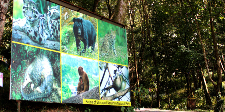 Shivapuri-Nagarjun National Park Begins E-Ticketing Trial to Modernize Visitor Services