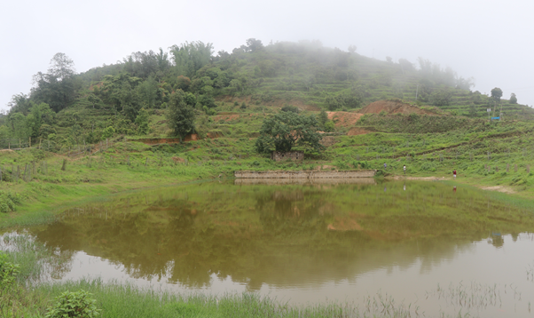 Hongma Pokhari: A Hidden Gem of Jantedhunga Awaiting Tourism Promotion