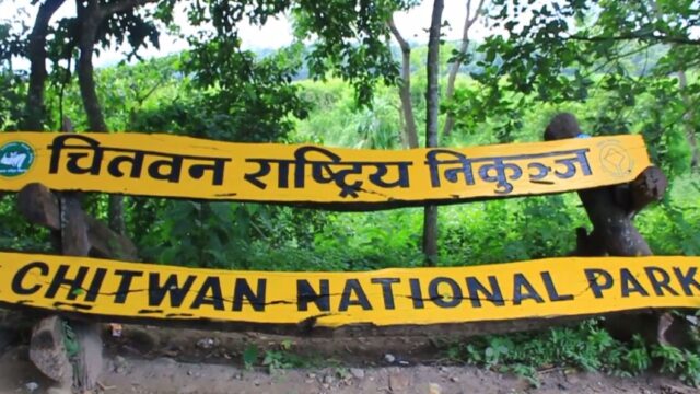 Chitwan National Park Implements Monsoon Security Strategy to Combat Poaching
