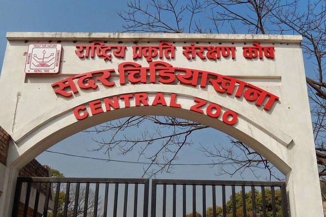 Visitor Numbers Surge at Central Zoo Following Extended Opening Hours