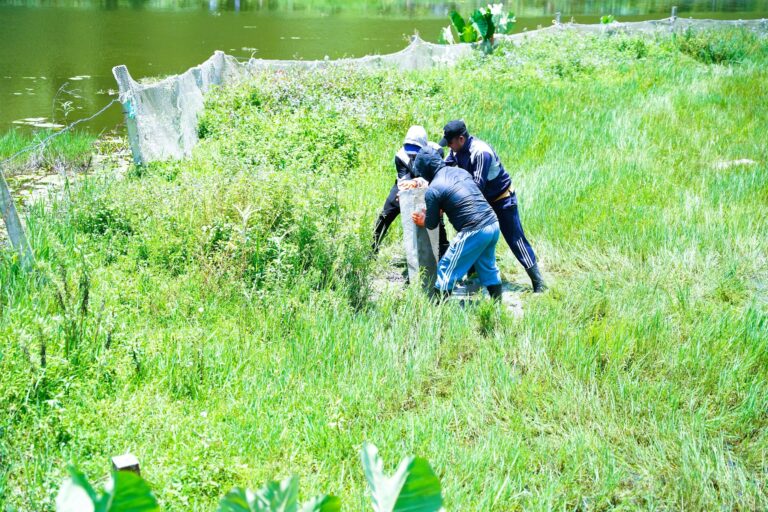 Fewa Lake’s Future Secured: 360 Pillars Installed in Historic Conservation Drive