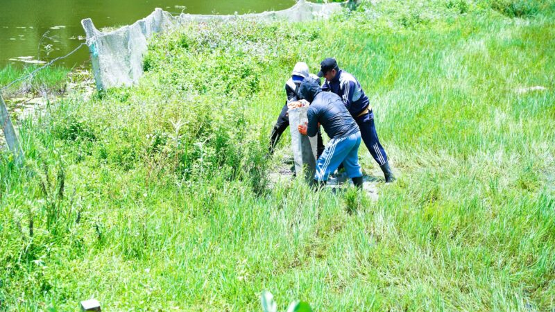 Fewa Lake’s Future Secured: 360 Pillars Installed in Historic Conservation Drive