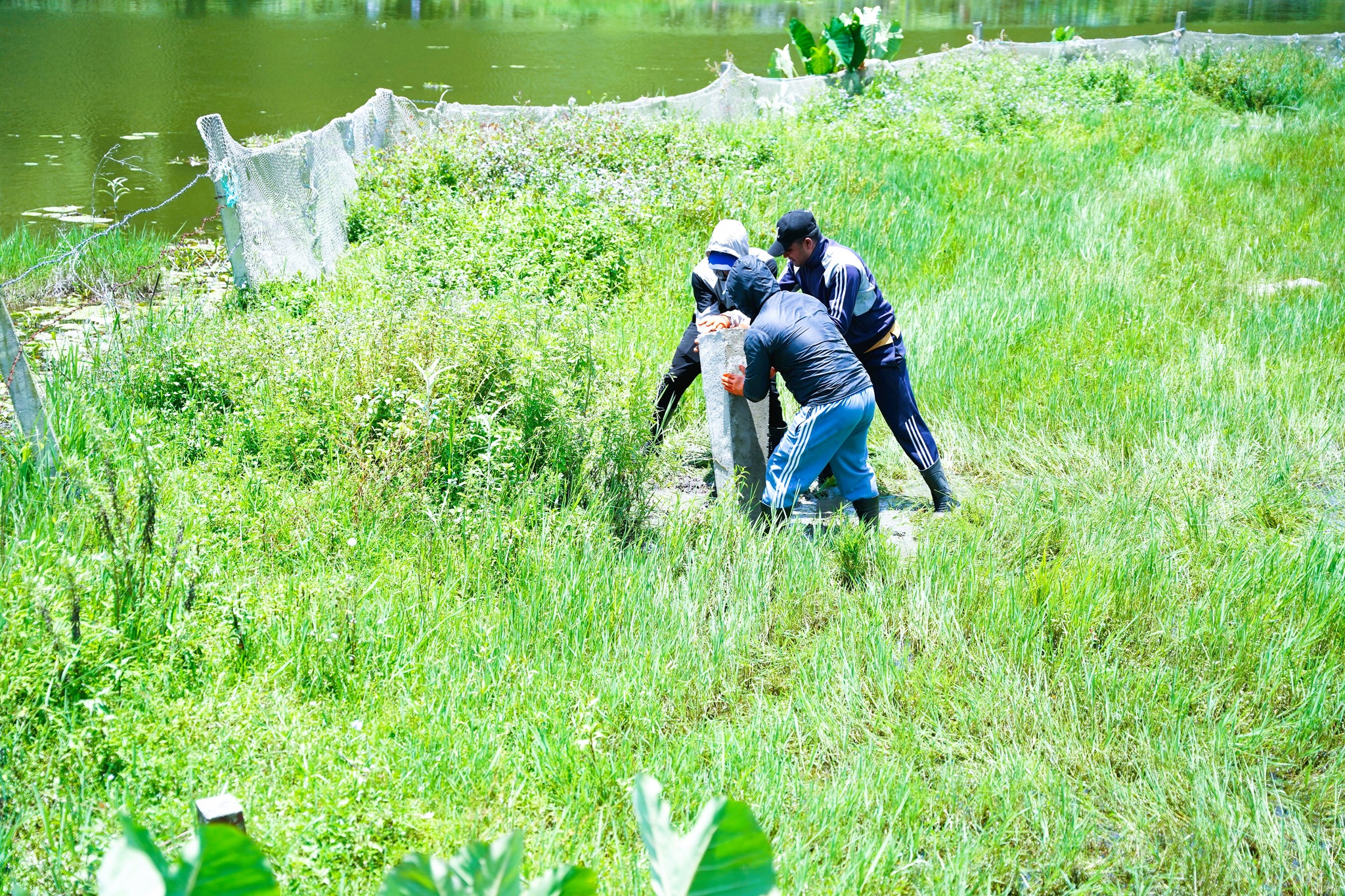 Fewa Lake’s Future Secured: 360 Pillars Installed in Historic Conservation Drive