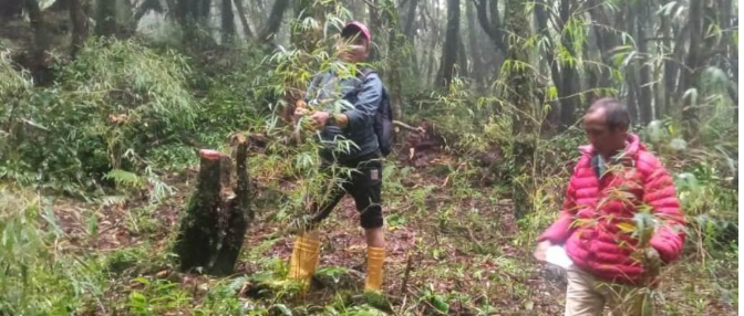 Red Panda Conservation Begins in Bhojpur with Community Engagement and Eco-Tourism Vision