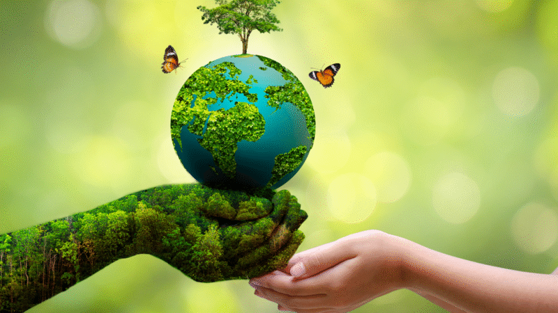 World Environment Day and Sustainable Tourism: A Call for Eco-Conscious Travel
