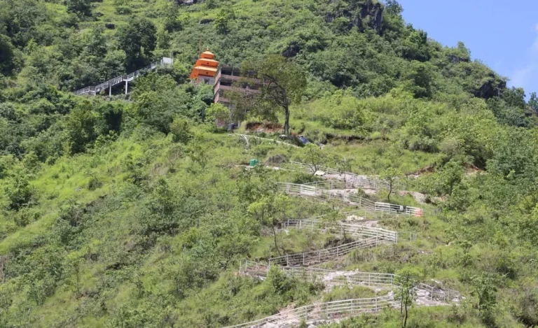 Transformative Trail: Easier Pilgrimage to Kedarnath Temple Now a Reality