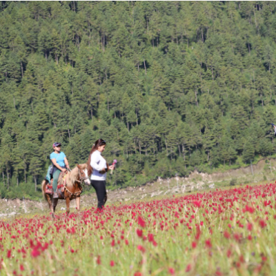 Dhorpatan Hunting Reserve Sees Horse Safari Flourish as Visitor Numbers Soar