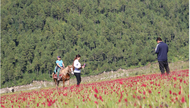 Dhorpatan Hunting Reserve Sees Horse Safari Flourish as Visitor Numbers Soar