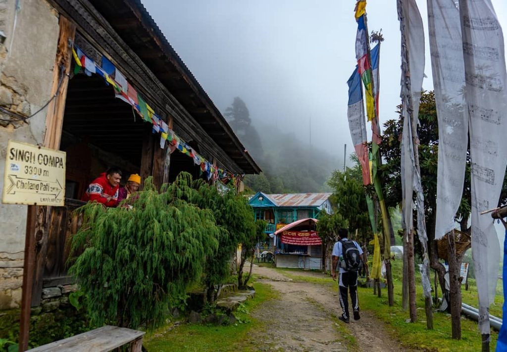 Clean Trek Campaign: 26 Gosainkunda Shelters Fined in Crackdown Drive