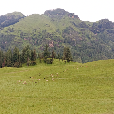Dhimichaur in Chandanath Municipality Emerges as a Popular Domestic Tourist Destination