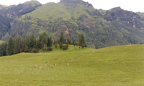 Dhimichaur in Chandanath Municipality Emerges as a Popular Domestic Tourist Destination