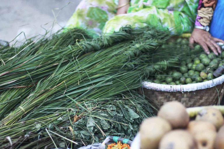 Kushe Aunsi: A Sacred Celebration Honoring Fathers and Preserving Nepal’s Cultural Heritage