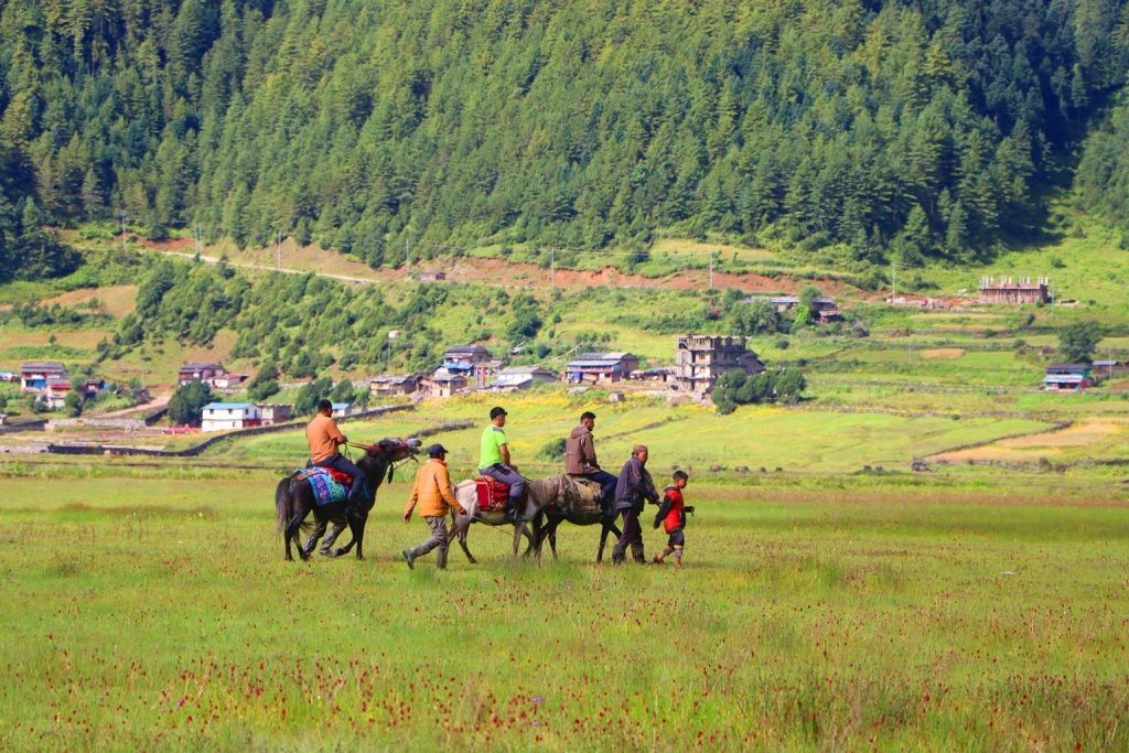 Dhorpatan’s Horseback Revival: Tourism Sparks Profitable Comeback