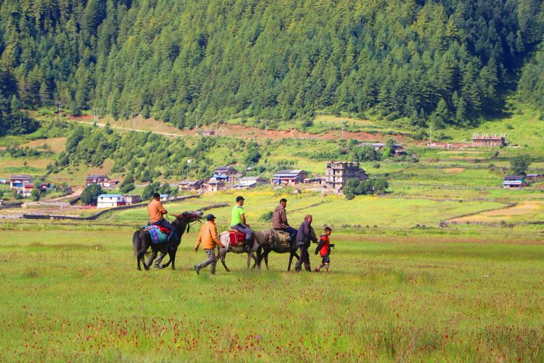 Dhorpatan’s Horseback Revival: Tourism Sparks Profitable Comeback