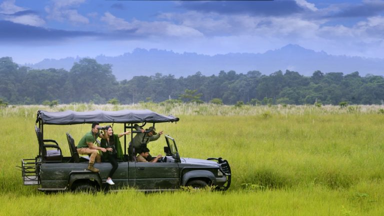 Chitwan Tourism Sees Surge as Two-Day Weekend Boosts Domestic and Foreign Visitors