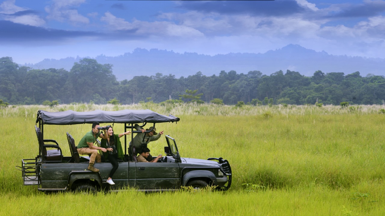 jeep safari, chitwan