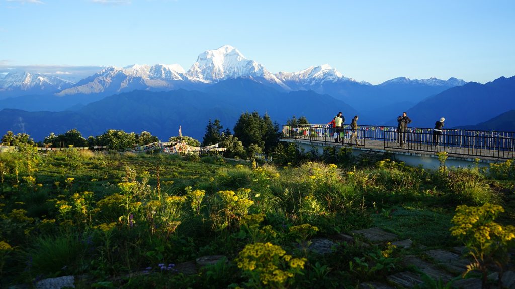 Tourism in Myagdi Suffers Sharp Decline