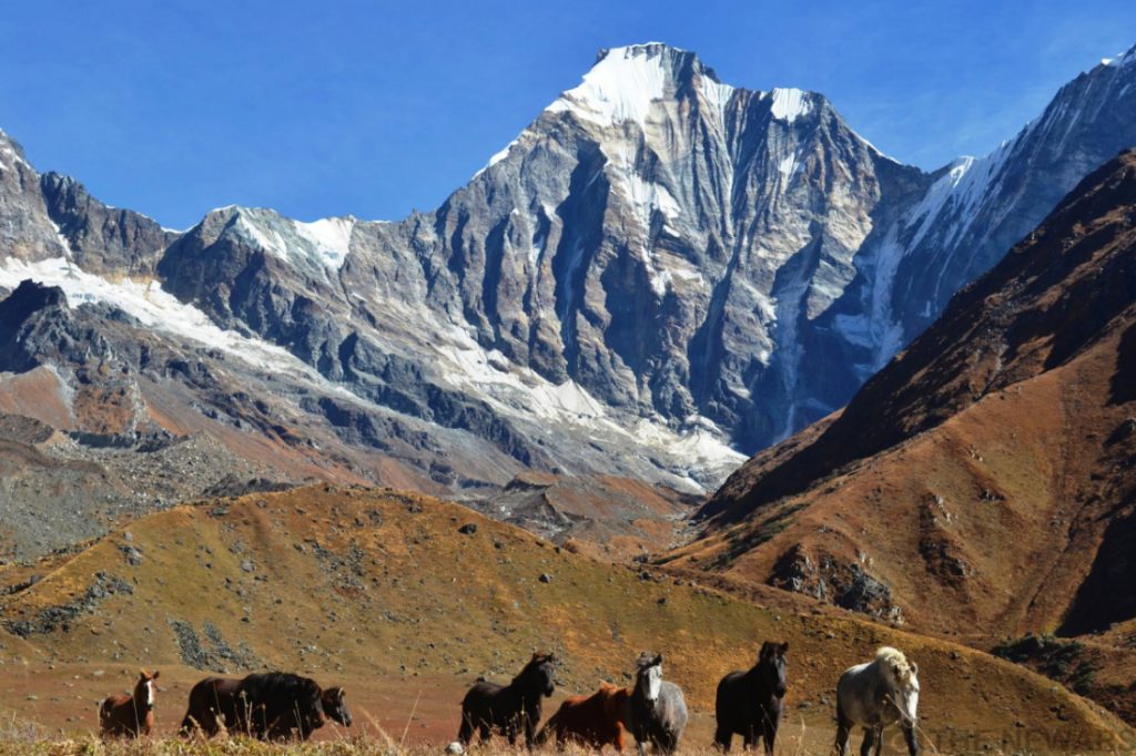 Major Initiative Unveiled to Unlock Saipal–Api Region as a Must-Visit Destination
