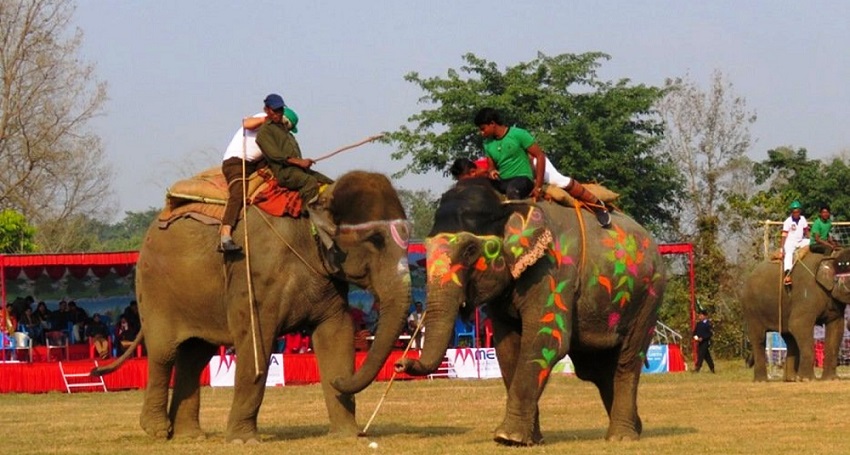Chitwan Gears Up for Grand Elephant & Tourism Festival from Poush 11–13