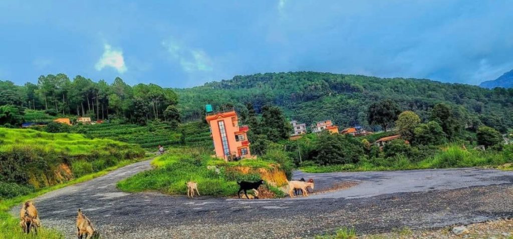 Tathali Gadhi and Halalgau Stairs Emerge as Major Domestic Tourist Destinations