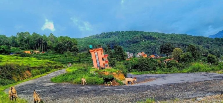 Tathali Gadhi and Halalgau Stairs Emerge as Major Domestic Tourist Destinations