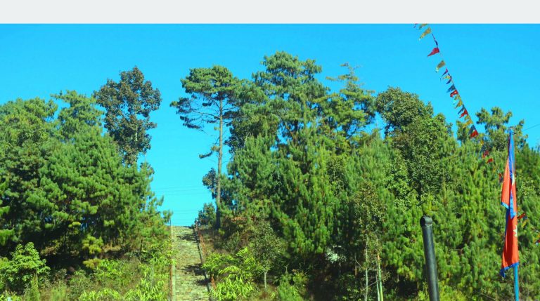 Kafle Danda Near Bhojpur Bazaar Being Developed as Emerging Tourist Destination