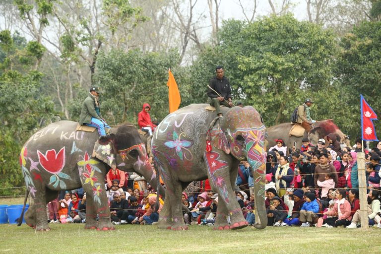 Grand Finale: 19th Chitwan Elephant and Tourism Festival Concludes in Sauraha