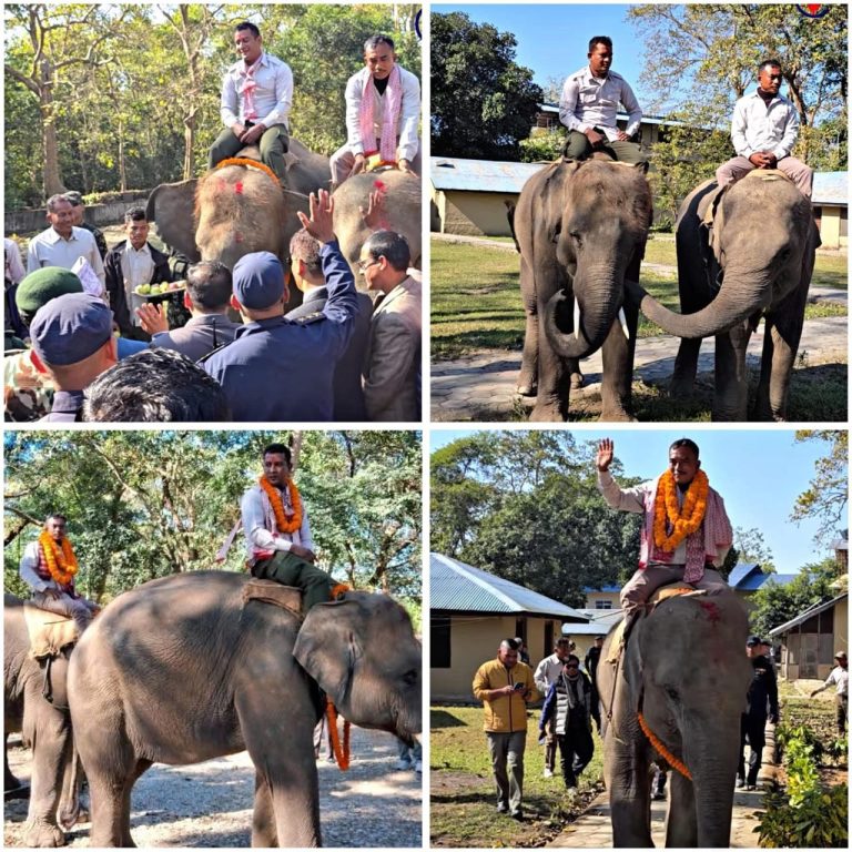 Nepal’s Animals: Messengers of Friendship and Conservation