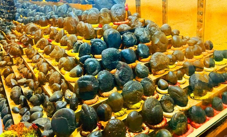 Shalgram Museum in Kundule Emerges as Major Tourist Attraction in Baglung