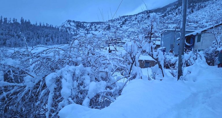 Snowfall Grips Several Parts of Nepal as Low-Pressure System Influences Weather