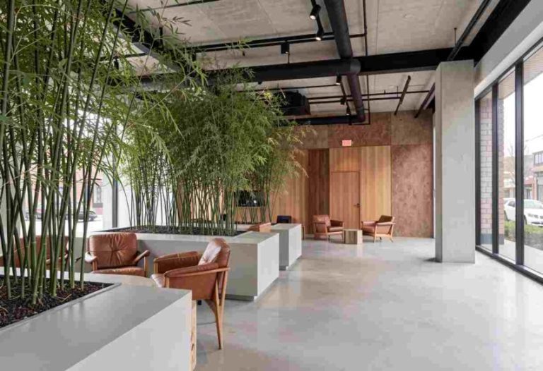 Cairns Harbourside Hotel Cuts Water Use, Adopts AI
