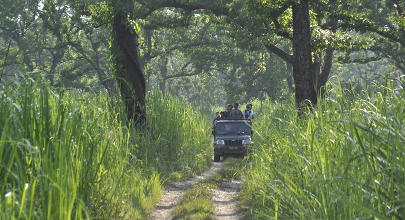 Banke National Park