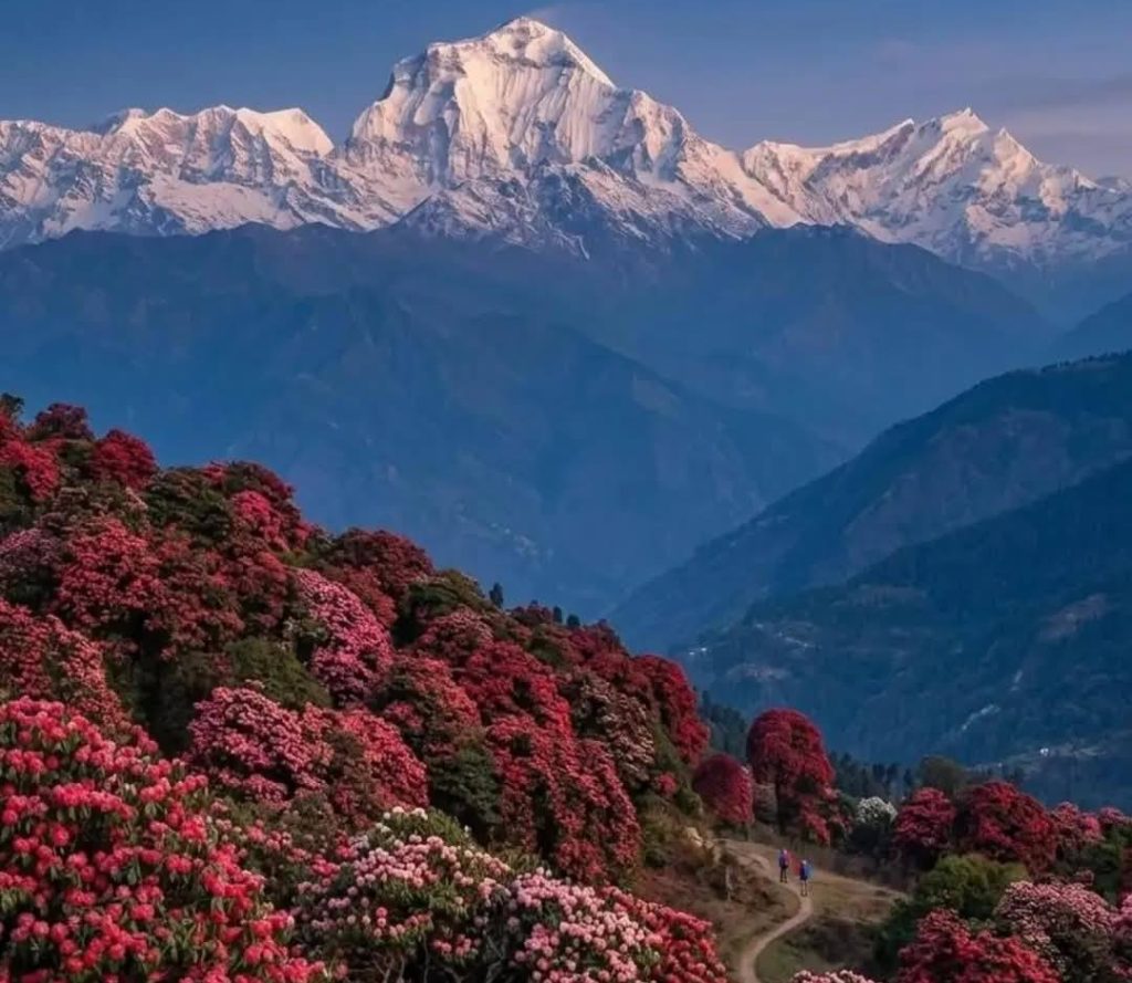 Annapurna