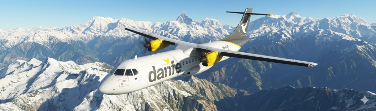 danfe airlines